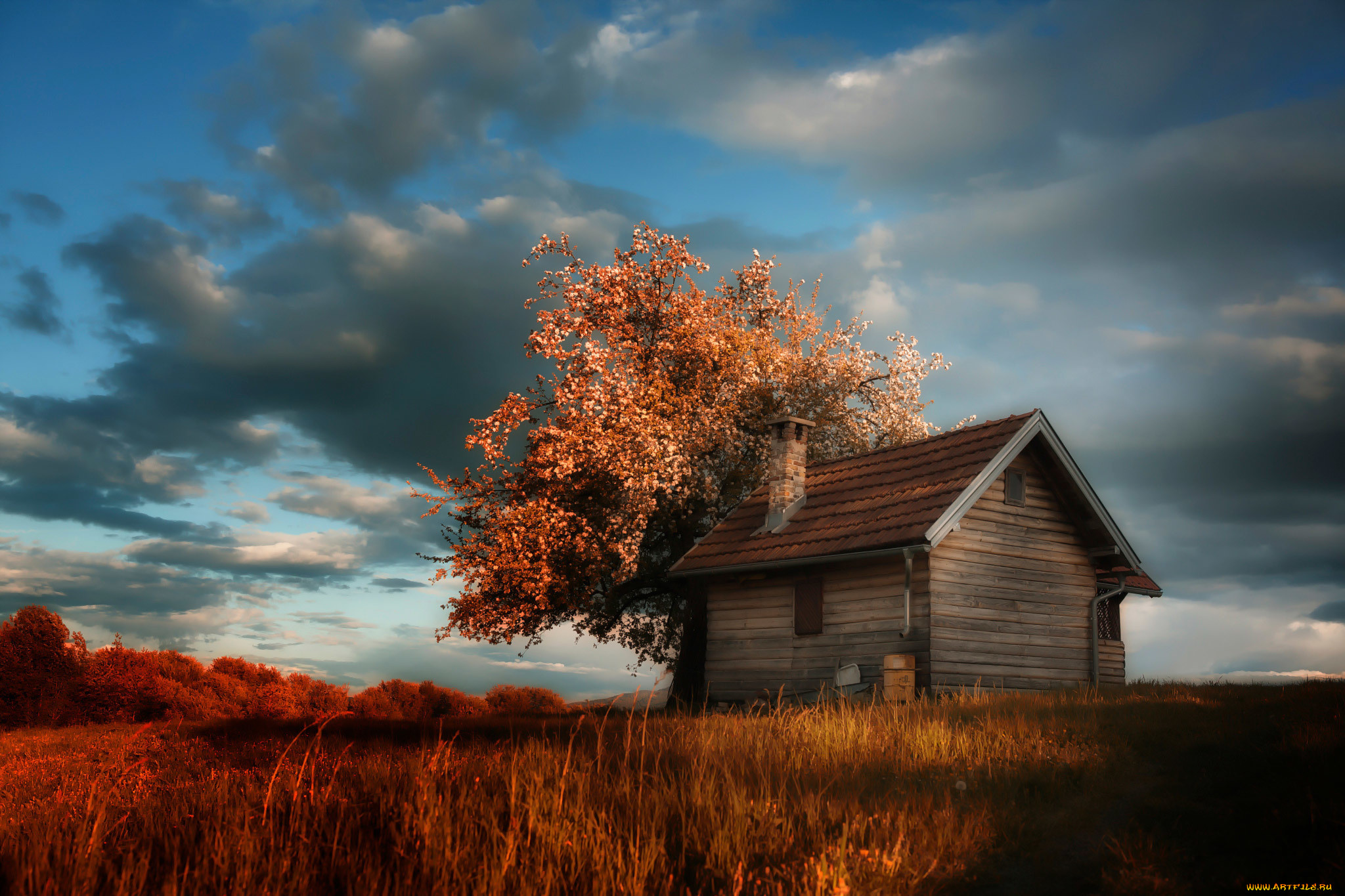 , - ,  , amir, bajrich, , , , , , cottage